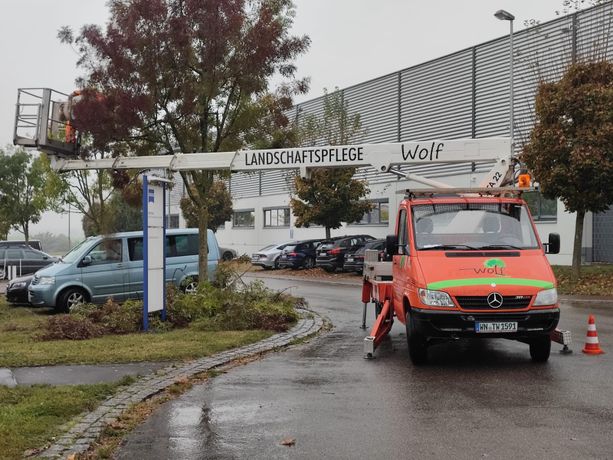 Beispielarbeit von Tobias Wolf Garten- und Landschaftspflege - veröffentlicht auf Gartenbau.org