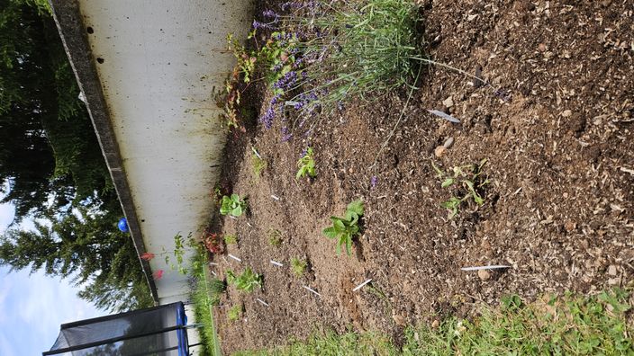 Beispielarbeit von Grünpflege Sprawke - veröffentlicht auf Gartenbau.org