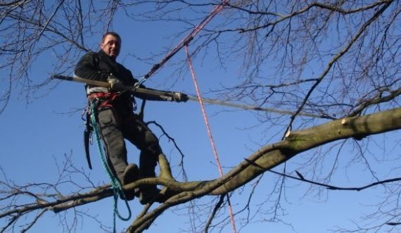Beispielarbeit von Baumpflege & Gartengestaltung Wonner - veröffentlicht auf Gartenbau.org
