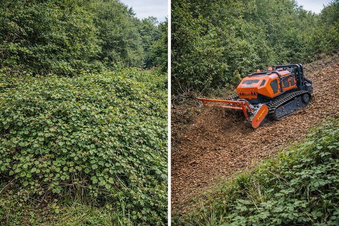 Beispielarbeit von LB Forst ( Wald & Landschaft) - veröffentlicht auf Gartenbau.org