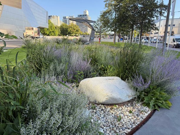 Beispielarbeit von Hydro Koller e.K. - veröffentlicht auf Gartenbau.org