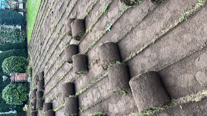 Beispielarbeit von Serghei Tudorean Garten- und Landschaftsbau - veröffentlicht auf Gartenbau.org