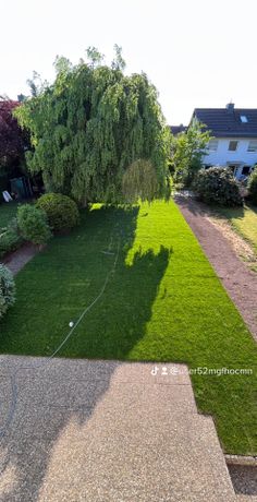 Beispielarbeit von Serghei Tudorean Garten- und Landschaftsbau - veröffentlicht auf Gartenbau.org