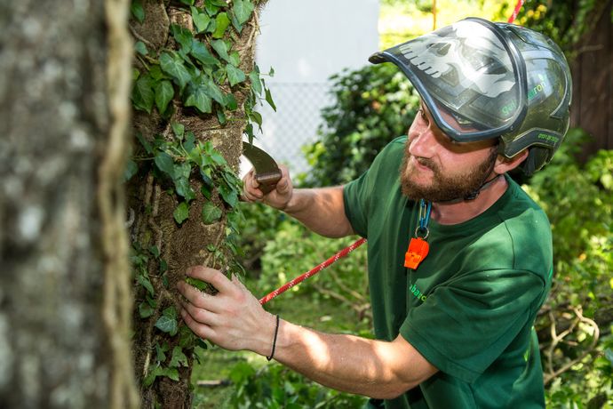 Beispielarbeit von galabauron - Ron Felix Tietz - veröffentlicht auf Gartenbau.org
