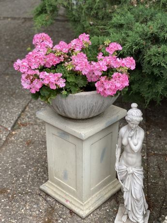 Beispielarbeit von GaLabau Haas - veröffentlicht auf Gartenbau.org