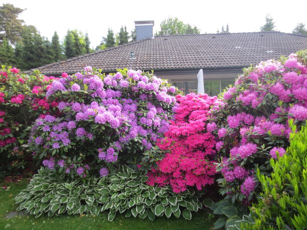 Beispielarbeit von Volker Syring Garten- und Landschaftsbau - veröffentlicht auf Gartenbau.org
