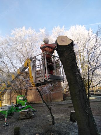 Beispielarbeit von Schnittwerk Landschaftspflege A. Schrage - veröffentlicht auf Gartenbau.org