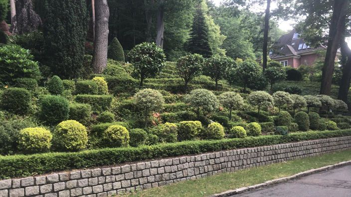 Beispielarbeit von M&D Dienstleistungen UG - veröffentlicht auf Gartenbau.org