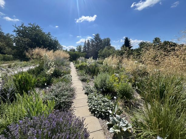 Beispielarbeit von Grünwerk Gartengestaltung - veröffentlicht auf Gartenbau.org