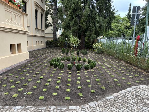 Beispielarbeit von Arioneac Service UG (haftungsbeschränkt) - veröffentlicht auf Gartenbau.org