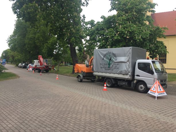 Beispielarbeit von Konstantin Wilde - Baumpflege - veröffentlicht auf Gartenbau.org