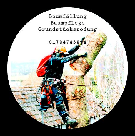 Beispielarbeit von TomundTeam Baum und Garten - veröffentlicht auf Gartenbau.org