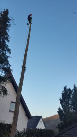 Beispielarbeit von Mentor Sejdija Garten- und Baumpflege - veröffentlicht auf Gartenbau.org