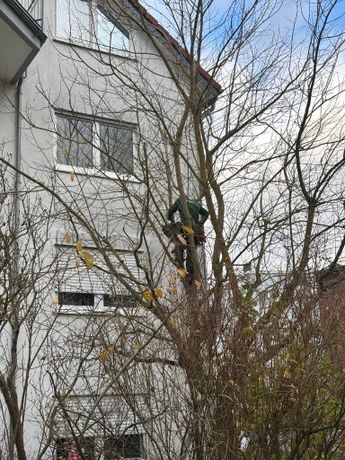 Beispielarbeit von BD&Sohn - veröffentlicht auf Gartenbau.org