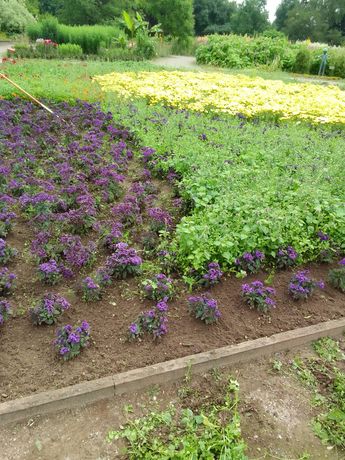 Beispielarbeit von Shaban Ahmedov Garten- und Landschaftsbau - veröffentlicht auf Gartenbau.org