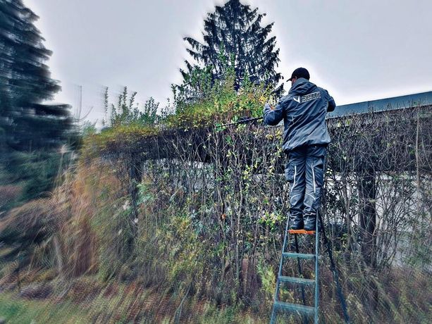 Beispielarbeit von Stems Gebäudeservice GmbH - veröffentlicht auf Gartenbau.org