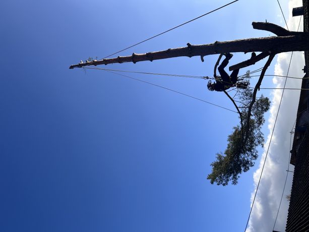 Beispielarbeit von Becker Garten- & Landschaftsbau - veröffentlicht auf Gartenbau.org