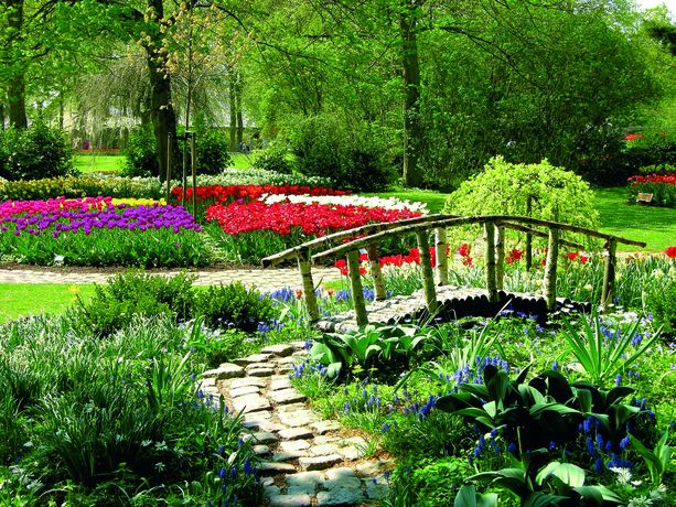 Beispielarbeit von Garten- und Landschaftsbau Löffler Inh. Kerstin Geißler - veröffentlicht auf Gartenbau.org