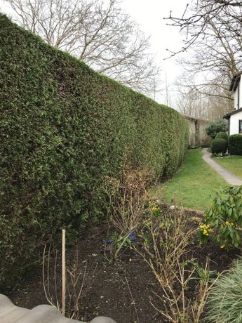 Beispielarbeit von Bamdeife Christoph Gilgen-Kunzlmann - veröffentlicht auf Gartenbau.org