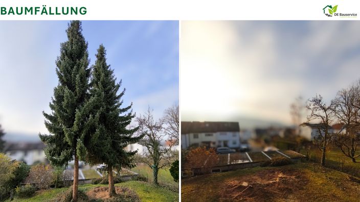 Beispielarbeit von DE Bauservice - veröffentlicht auf Gartenbau.org