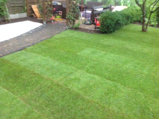 Beispielarbeit von Arben Derri Garten- und Landschaftsbau - veröffentlicht auf Gartenbau.org