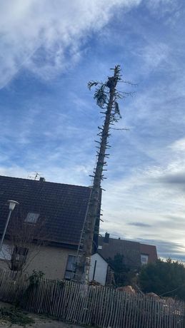 Beispielarbeit von Shumolli Garten Landschaftsbau - veröffentlicht auf Gartenbau.org