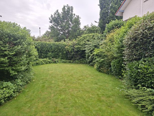 Beispielarbeit von HG - Lifestyle - veröffentlicht auf Gartenbau.org