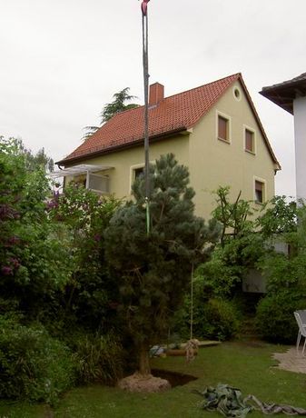 Beispielarbeit von Jörg Goos Baumpflege und Gartengestaltung - veröffentlicht auf Gartenbau.org