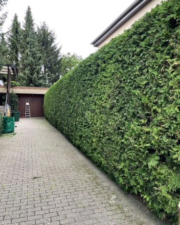 Beispielarbeit von SGS Sari GartenService Dienstleistung - veröffentlicht auf Gartenbau.org