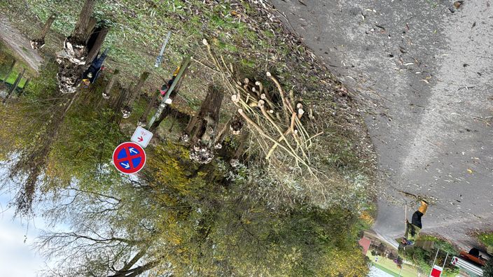 Beispielarbeit von MM Garten und Landschaftsbau GmbH - veröffentlicht auf Gartenbau.org