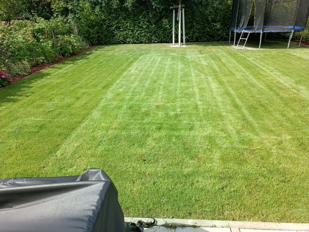 Beispielarbeit von Arioneac Service UG (haftungsbeschränkt) - veröffentlicht auf Gartenbau.org