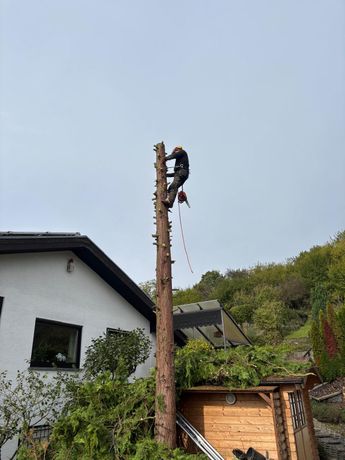 Beispielarbeit von BD&Sohn - veröffentlicht auf Gartenbau.org