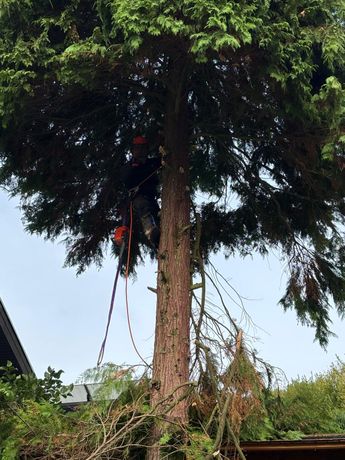 Beispielarbeit von BD&Sohn - veröffentlicht auf Gartenbau.org