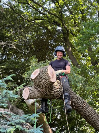Beispielarbeit von Hanseatische Baumpflege - veröffentlicht auf Gartenbau.org