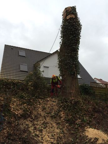 Beispielarbeit von Baumpflege & Gartengestaltung Wonner - veröffentlicht auf Gartenbau.org