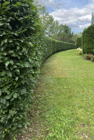 Beispielarbeit von Dietrich Dienstleistungen - veröffentlicht auf Gartenbau.org