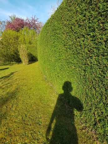 Beispielarbeit von Gartenbau Susan - veröffentlicht auf Gartenbau.org