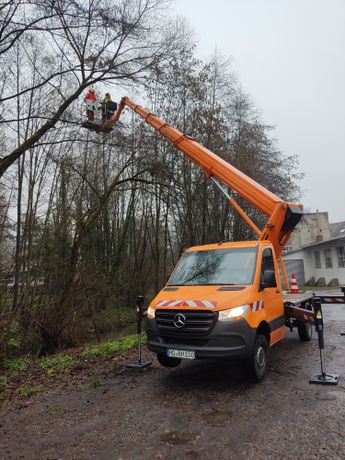 Beispielarbeit von Nico Wallasch Forst- und Gartenpflege - veröffentlicht auf Gartenbau.org