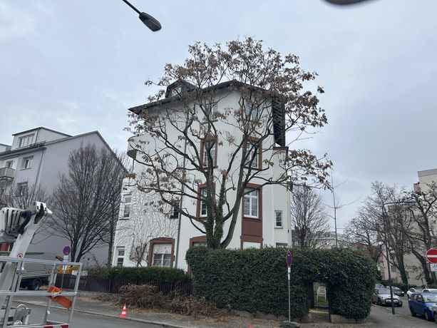 Beispielarbeit von Franko Tadic Garten- u. Landschaftsbau/Baumpflege - veröffentlicht auf Gartenbau.org