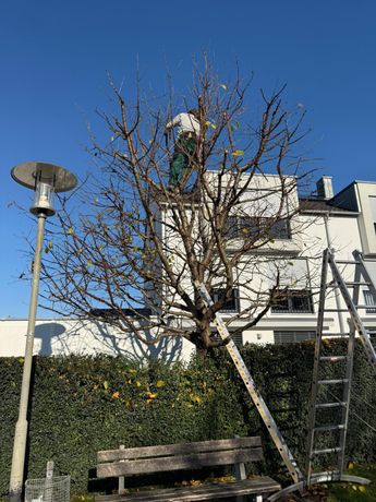 Beispielarbeit von Gartenprofi - veröffentlicht auf Gartenbau.org