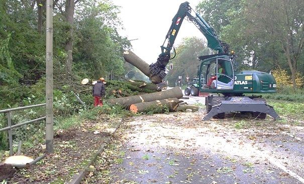 Beispielarbeit von Galabau/ Baumdienst, M. Breithaupt-Heynen - veröffentlicht auf Gartenbau.org
