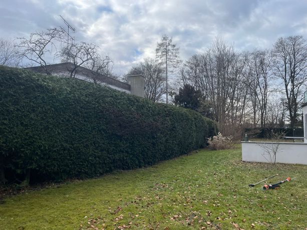 Beispielarbeit von der Heckenfriseur - veröffentlicht auf Gartenbau.org