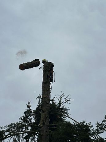 Beispielarbeit von Jonas Avianus Galabau & Baumpflege - veröffentlicht auf Gartenbau.org