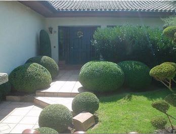 Beispielarbeit von Baumpflege und Sanierung M. Müller - veröffentlicht auf Gartenbau.org