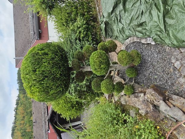 Beispielarbeit von Selami Bylygbashi - veröffentlicht auf Gartenbau.org