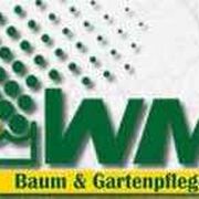 Wolfgang Matt Baum- & Gartenpflege in Murg