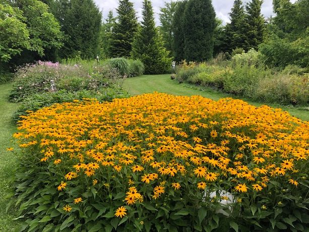Beispielarbeit von Gartenparadies CH - veröffentlicht auf Gartenbau.org