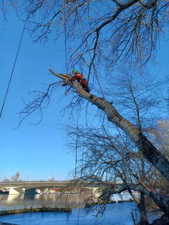 Beispielarbeit von Baum- und Gartenpflege Schifelbein GmbH - veröffentlicht auf Gartenbau.org