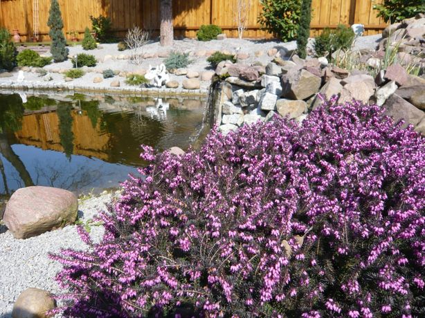 Beispielarbeit von Grünland-Landschaftsbau GmbH Marcus Bursian - veröffentlicht auf Gartenbau.org