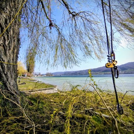 Beispielarbeit von Garten- & Baumpflege - veröffentlicht auf Gartenbau.org